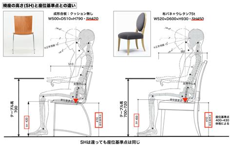 椅子標準尺寸|椅子の幅や高さに標準や最適値はあるか